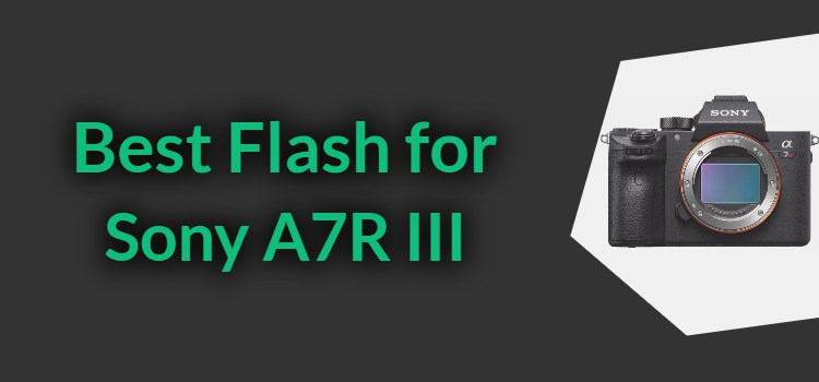 Best Flash for Sony A7R III Camera